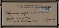 Image Associated With the Occurence